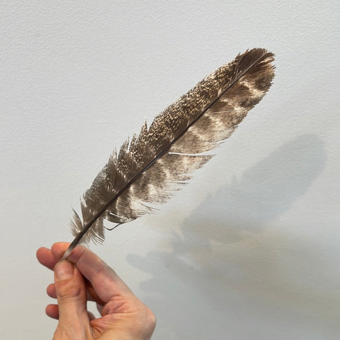 Smudge Feather