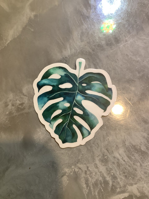 Monstera vinyl sticker