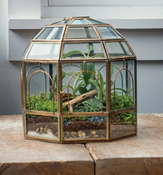 Bronze & Glass Terrarium