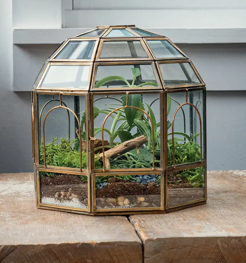 Bronze & Glass Terrarium