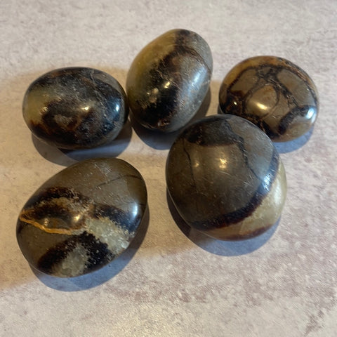 Septarian Palmstone