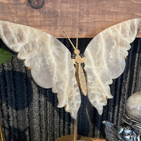Grey Moonstone Butterfly Wing Set