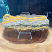 Bumblebee Jasper Slab