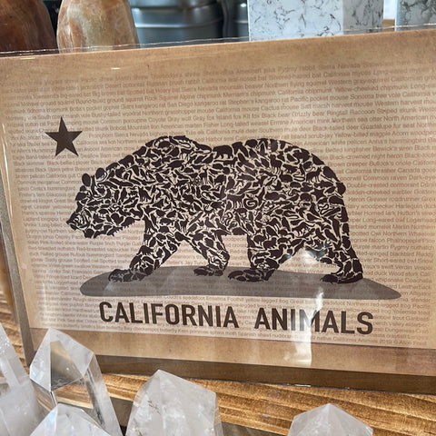 CA Wildlife Bear Card